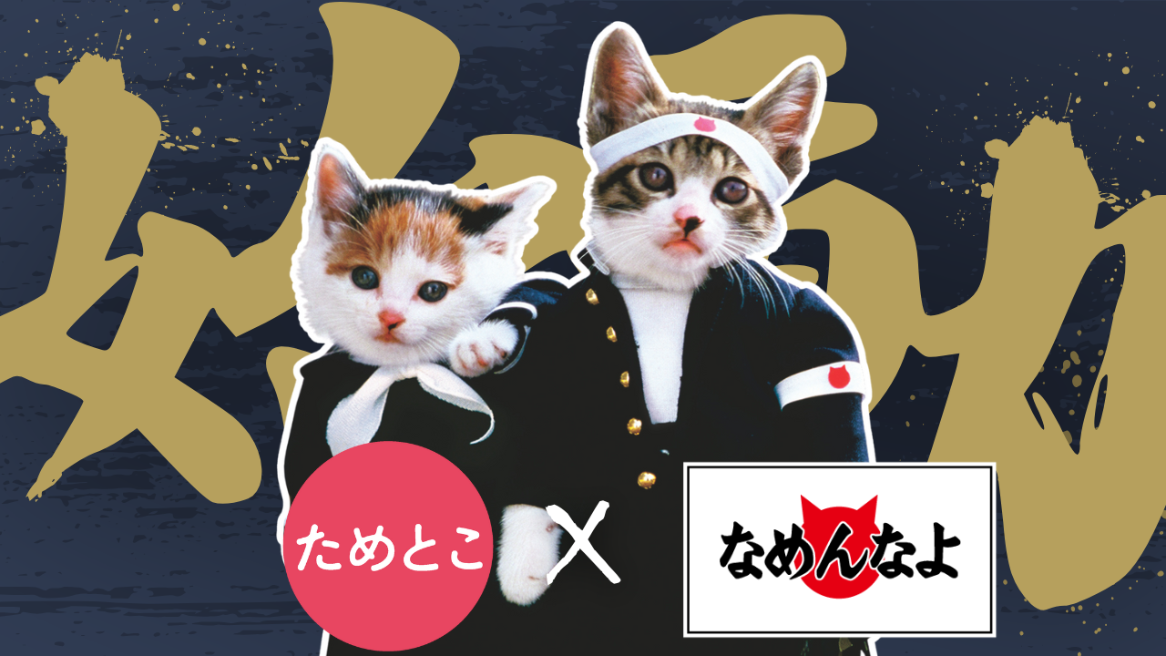 ためとこ×なめ猫 コラボ実施中🐈 - ためとこ